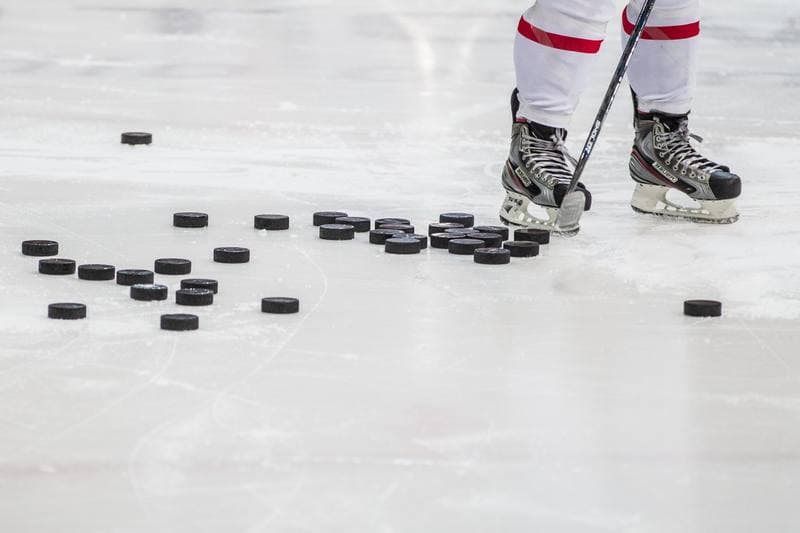 Ice Hockey. EWHL. Silesia Breckens - Hvidovre IK Selects. 01.12.2019
