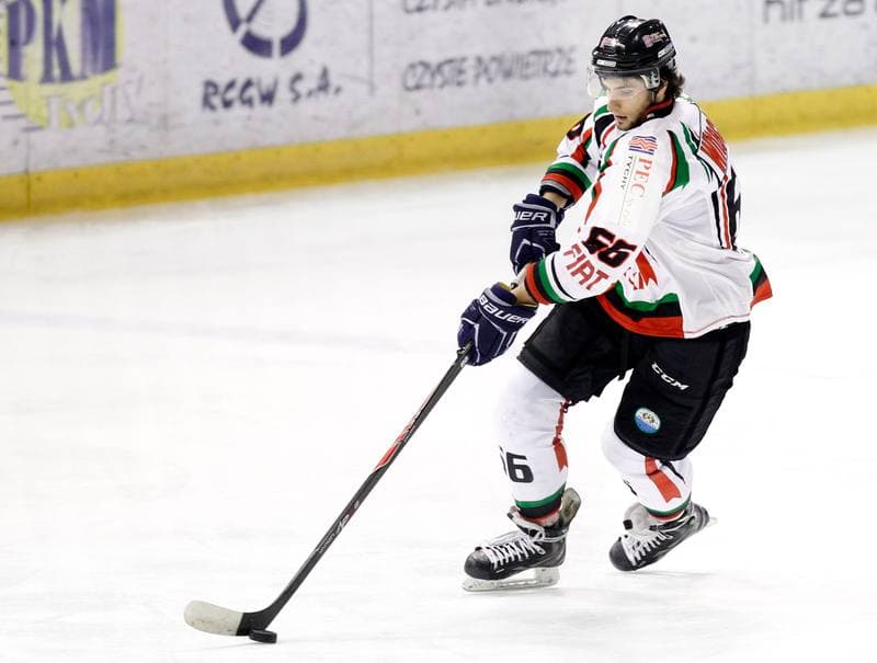 Ice Hockey. Polska Hokej Liga. GKS Tychy - Comarch Cracovia Krakow. 19.01.2014