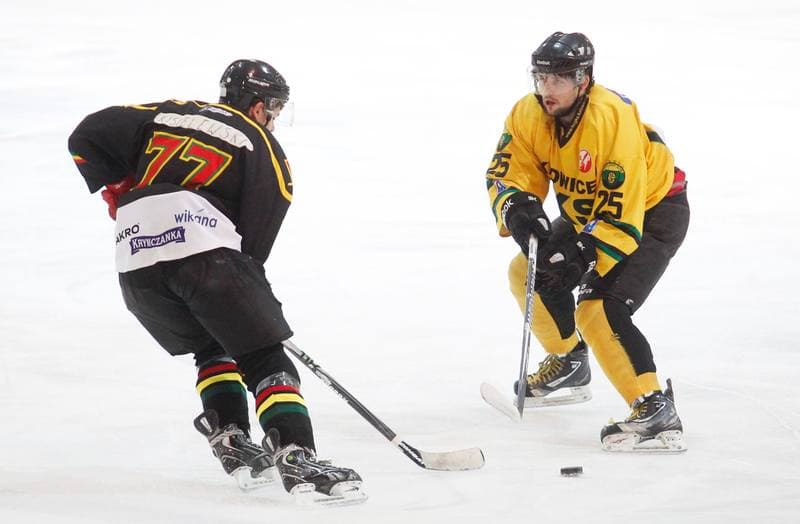 Ice Hockey. Polska Hokej Liga. HC GKS Katowice - KTH Krynica. 21.02.2014