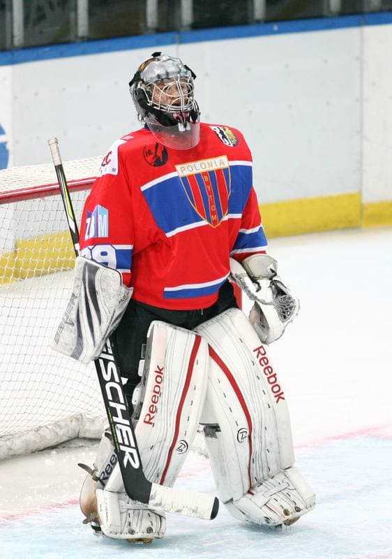 Ice Hockey. Tauron Hokej Liga. HC GKS Katowice - Polonia Bytom. 02.01.2015