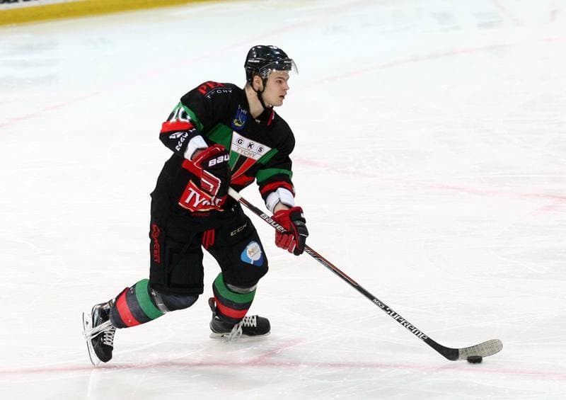 Ice Hockey. Polska Hokej Liga. HC GKS Katowice - GKS Tychy. 11.01.2015