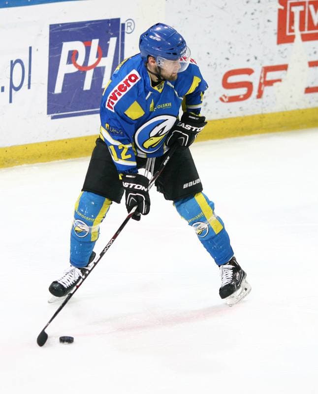 Ice Hockey. Polska Hokej Liga. HC GKS Katowice - Orlik Opole. 27.01.2015