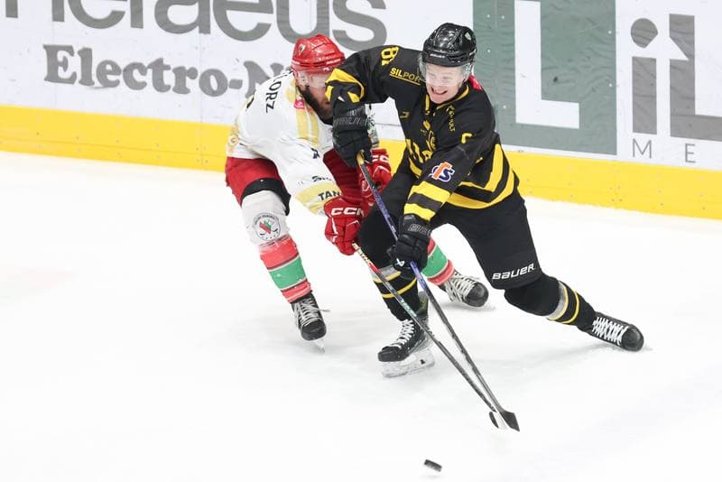 Ice Hockey. Tauron Hokej Liga. Zaglebie Sosnowiec - GKS Katowice. 21.01.2024