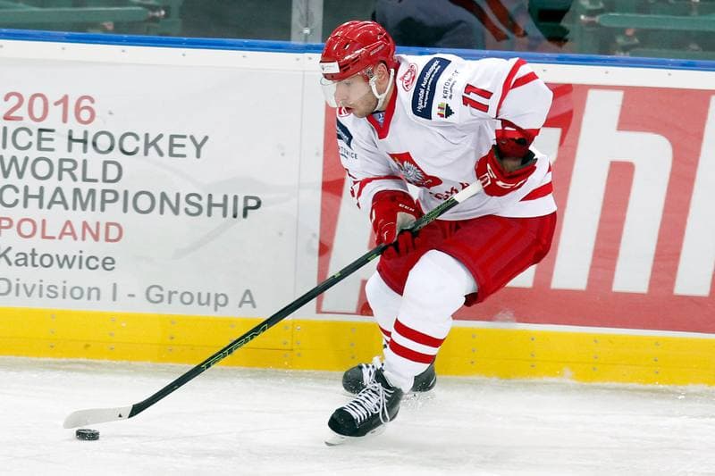 Ice Hockey. Friendly Match. Poland - Stars of PHL. 06.02.2016