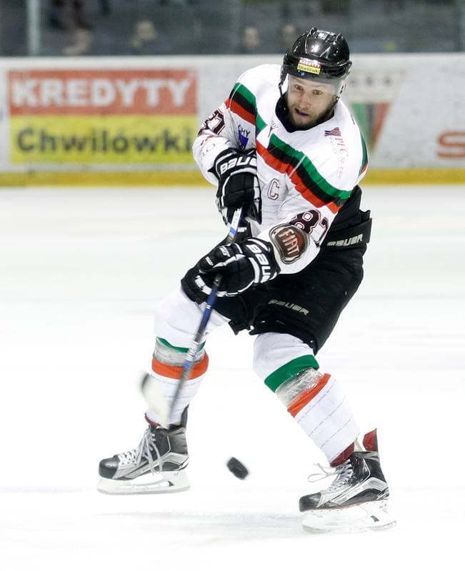 Ice Hockey. Polish Hockey League. GKS Tychy - Comarch Cracovia. 18.03.2016