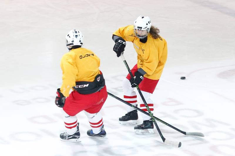 Ice Hockey. Women's National Team. Training. 30.03.2016