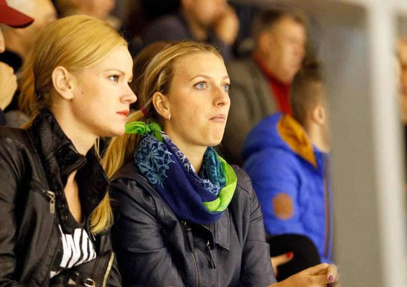Ice Hockey. Polska Hokej Liga. Naprzod Janow - Polonia Bytom. 02.11.2014