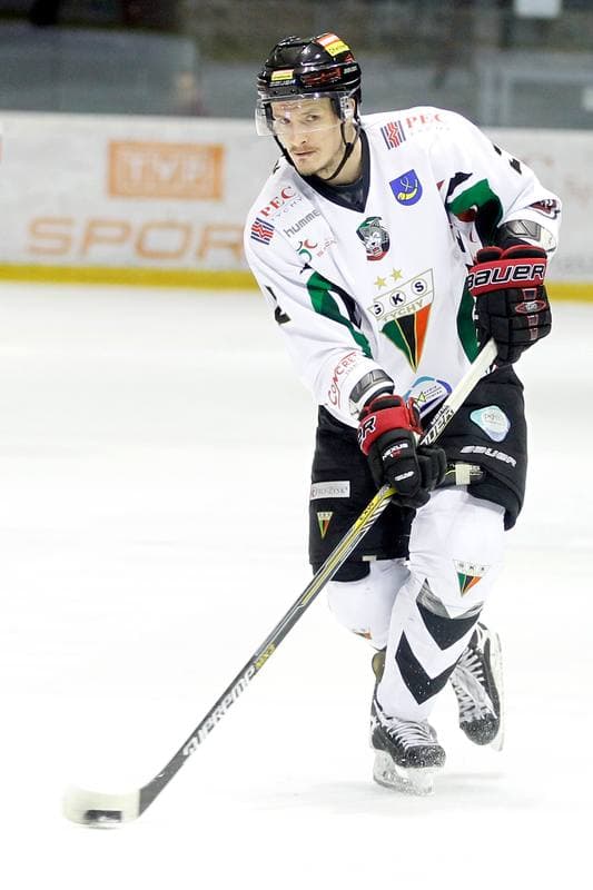 Ice Hockey. Polska Hokej Liga. GKS Tychy - Tempish Polonia Bytom. 07.03.2017