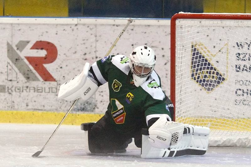 Ice Hockey. Polska Hokej Liga. Polonia Bytom - Naprzod Janow. 10.09.2017