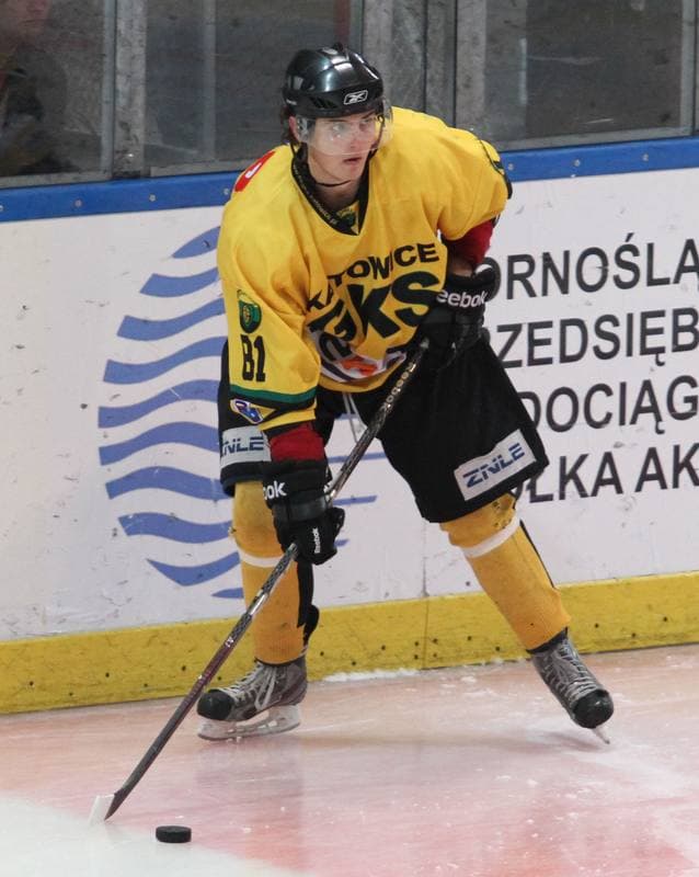 Ice Hockey. Tauron Hokej Liga. HC GKS Katowice - Podhale Nowy Targ. 04.01.2015