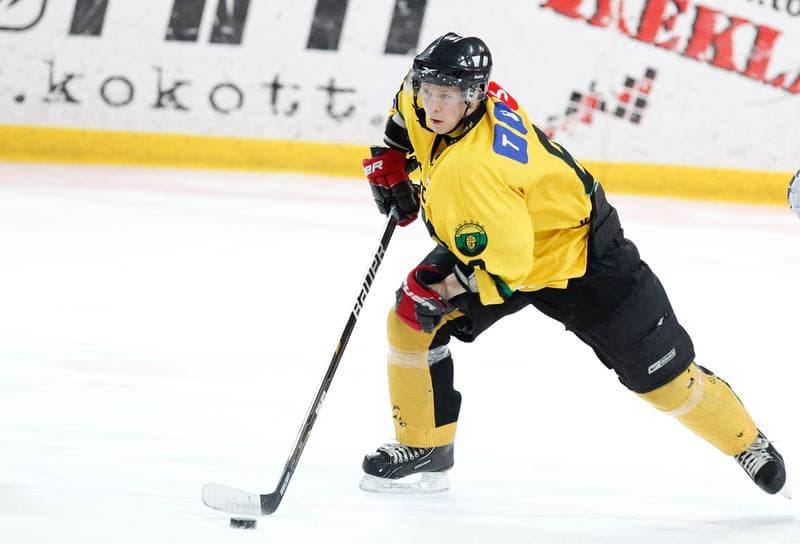 Ice Hockey. Polska Hokej Liga. HC GKS Katowice - Aksam Unia Oswiecim. 10.01.2014