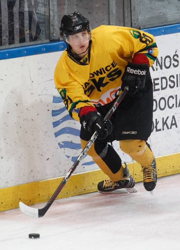 Ice Hockey. Polska Hokej Liga. HC GKS Katowice - KTH Krynica. 21.02.2014