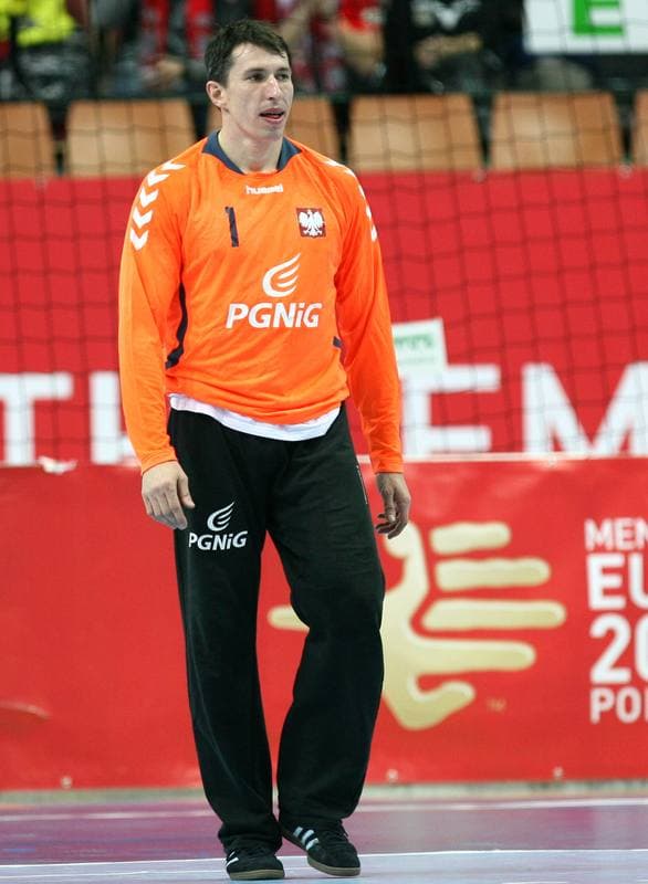 Football. International Friendly. Poland - Czech Republic. 17.11.2015