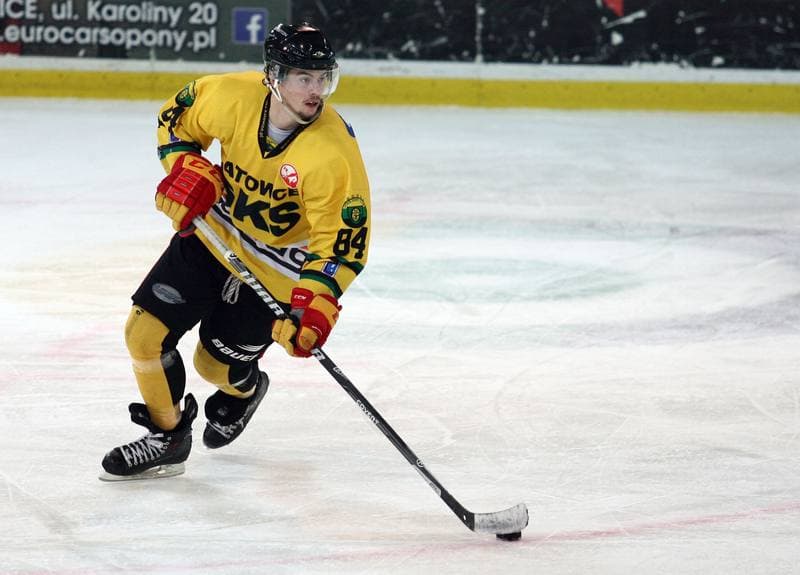 Ice Hockey. Tauron Hokej Liga. HC GKS Katowice - Polonia Bytom. 02.01.2015