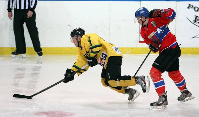 Ice Hockey. Tauron Hokej Liga. HC GKS Katowice - Polonia Bytom. 02.01.2015