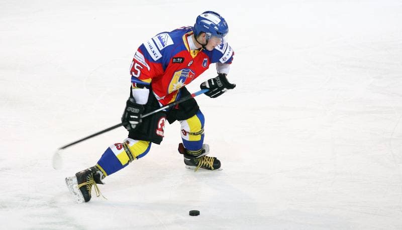 Ice Hockey. Tauron Hokej Liga. HC GKS Katowice - Podhale Nowy Targ. 04.01.2015