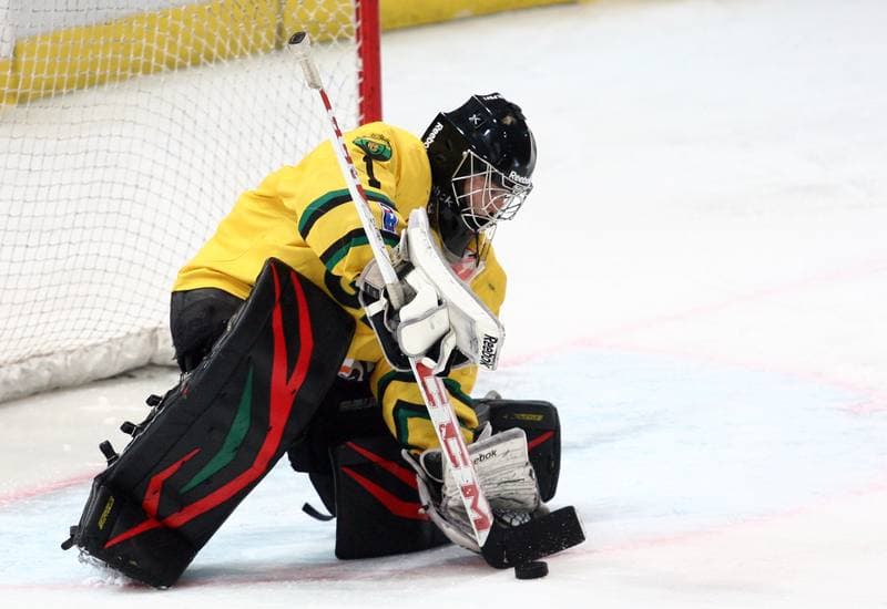 Ice Hockey. Polska Hokej Liga. HC GKS Katowice - GKS Tychy. 11.01.2015