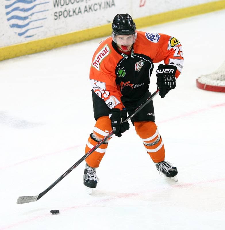 Ice Hockey. Polska Hokej Liga. HC GKS Katowice - JKH GKS Jastrzebie. 16.01.2015