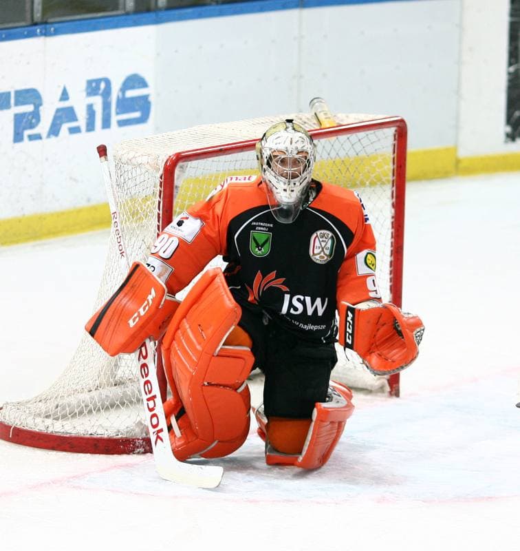 Ice Hockey. Polska Hokej Liga. HC GKS Katowice - JKH GKS Jastrzebie. 16.01.2015