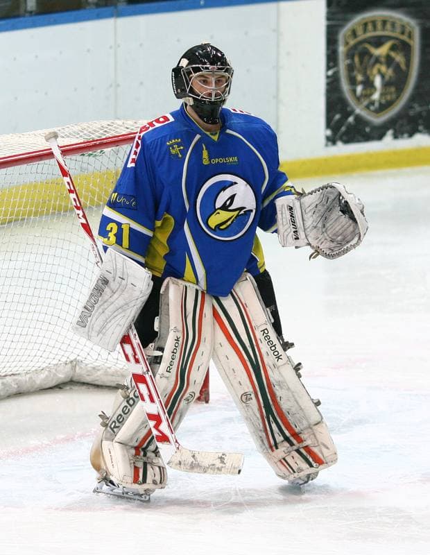 Ice Hockey. Polska Hokej Liga. HC GKS Katowice - Orlik Opole. 27.01.2015