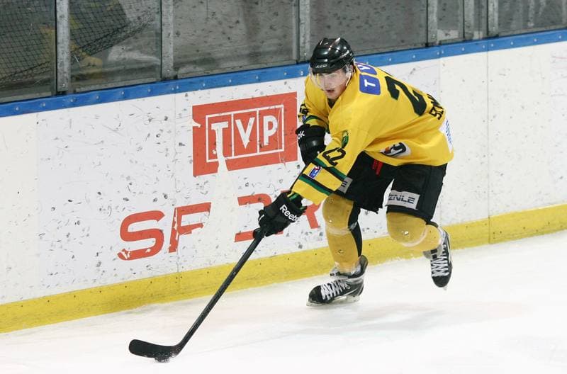Ice Hockey. Polska Hokej Liga. HC GKS Katowice - Orlik Opole. 27.01.2015
