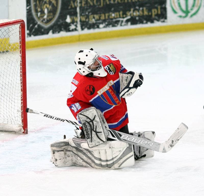Ice Hockey. Tauron Hokej Liga. HC GKS Katowice - Polonia Bytom. 02.01.2015