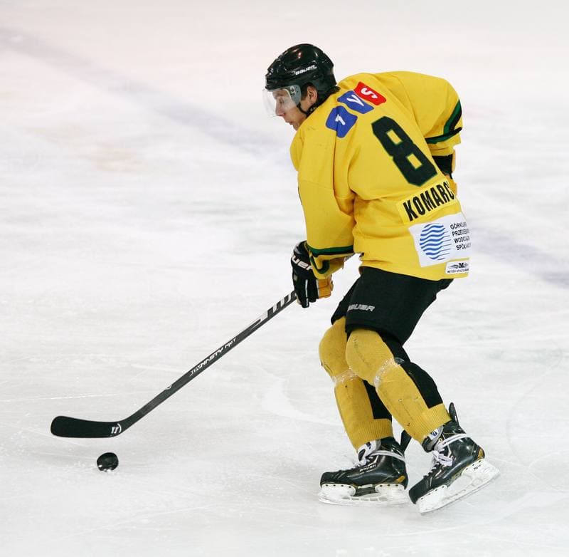 Ice Hockey. Tauron Hokej Liga. HC GKS Katowice - Polonia Bytom. 02.01.2015