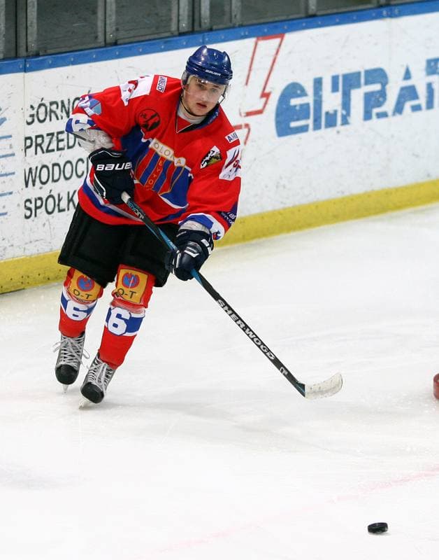 Ice Hockey. Tauron Hokej Liga. HC GKS Katowice - Polonia Bytom. 02.01.2015