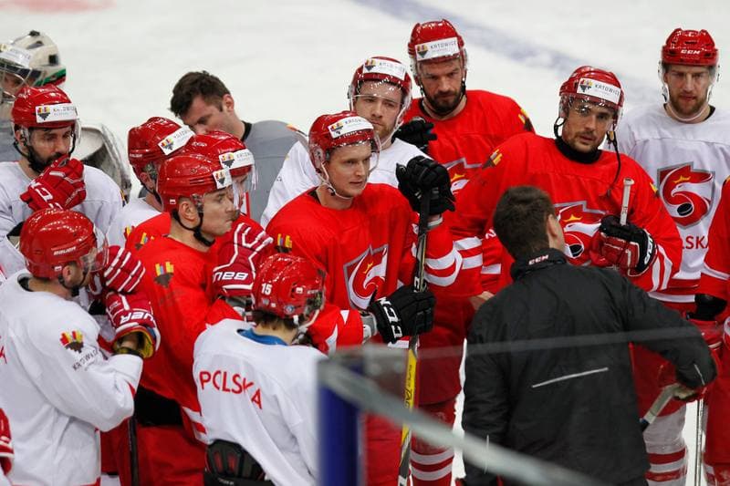 Ice Hockey. Poland national team. Training. 24.04.2016