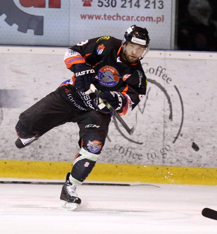 Ice Hockey. Polska Hokej Liga. GKS Tychy - Ciarko KH Sanok. 23.01.2015