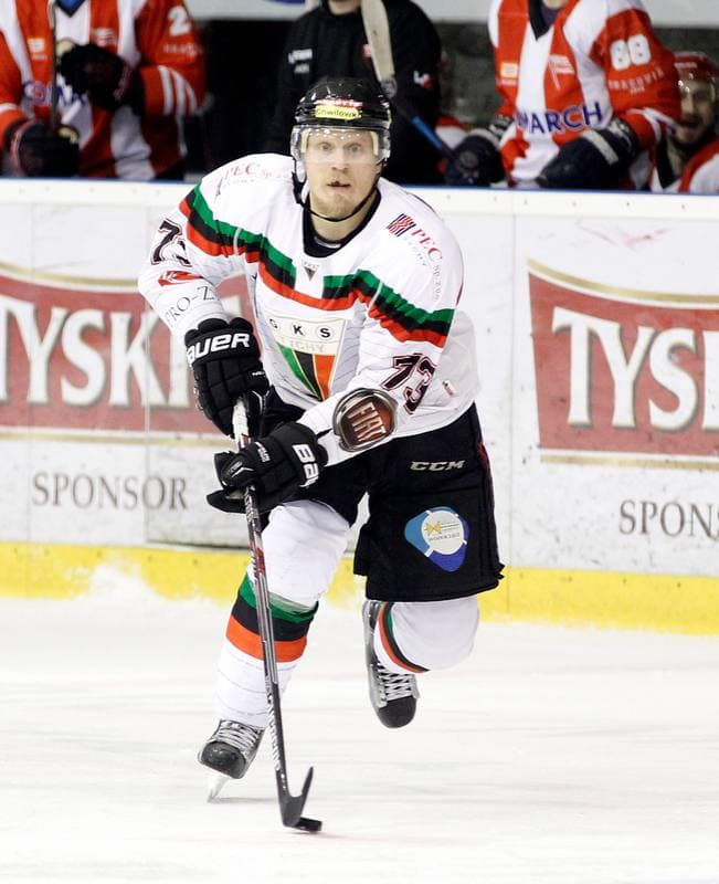 Ice Hockey. Polish Hockey League. GKS Tychy - Comarch Cracovia. 24.03.2016