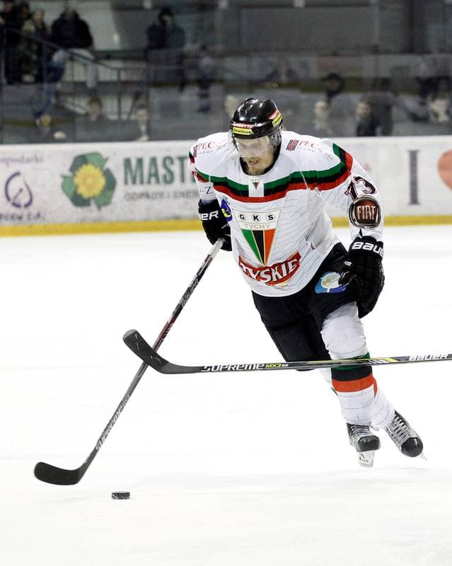 Ice Hockey. Polish Hockey League. GKS Tychy - Comarch Cracovia. 24.03.2016