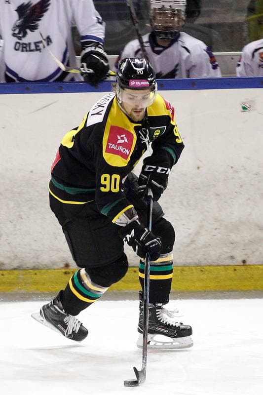 Ice Hockey. Polska Hokej Liga. SMS PZHL Sosnowiec - Tauron KH GKS Katowice. 31.01.2017