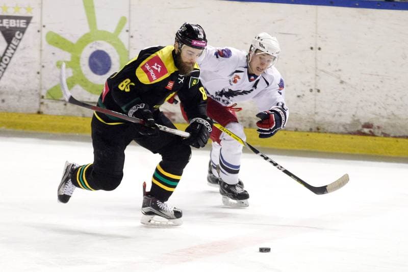Ice Hockey. Polska Hokej Liga. SMS PZHL Sosnowiec - Tauron KH GKS Katowice. 31.01.2017