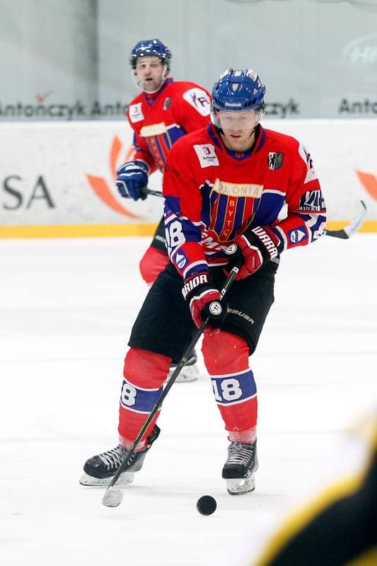 Ice Hockey. Polska Hokej Liga. JKH GKS Jastrzebie - Tempish Polonia Bytom. 05.02.2017