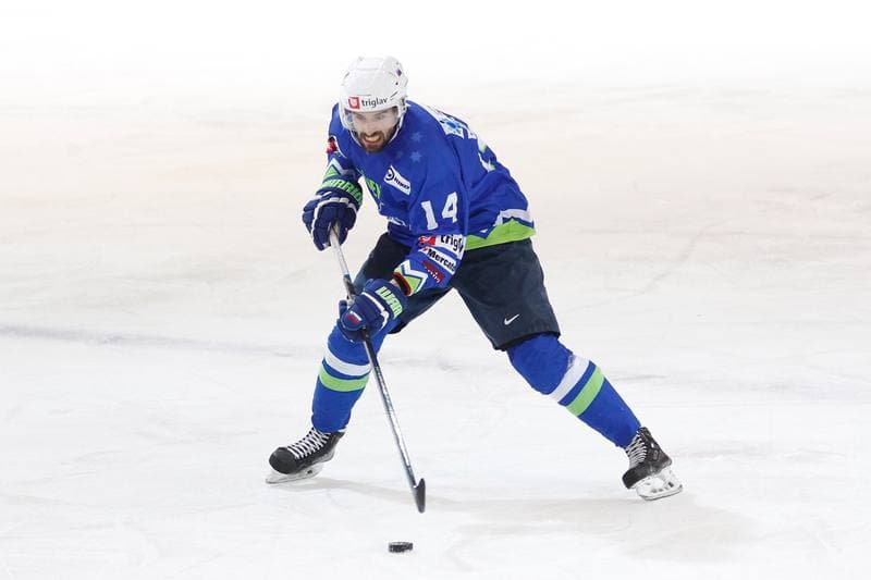Ice Hockey. Euro Ice Hockey Challenge. Slovenia - Italy. 10.02.2017