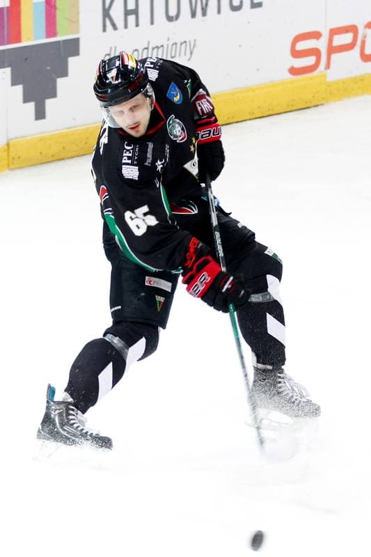 Ice Hockey. Tauron Hokej Liga. Tauron KH GKS Katowice - GKS Tychy. 25.02.2017