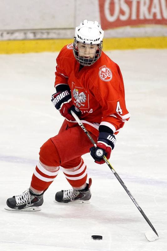 Ice Hockey. Women's Friendly Match. Poland - Ontario. 04.04.2017