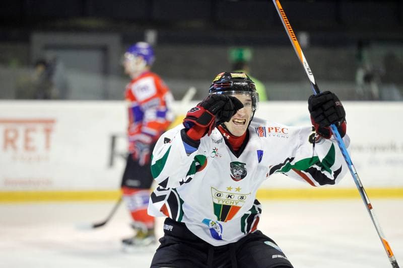 Ice Hockey. Polska Hokej Liga. GKS Tychy - Tempish Polonia Bytom. 07.03.2017