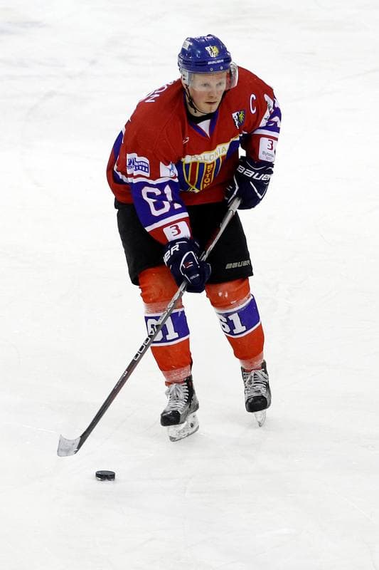 Ice Hockey. Polska Hokej Liga. Anteo Naprzod Janow - Polonia Bytom. 30.01.2018
