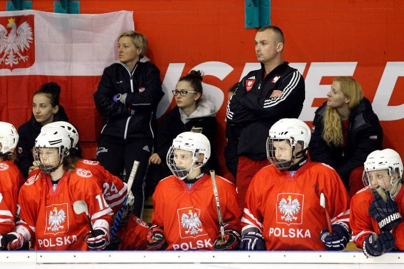 Ice Hockey. Women's Friendly Match. Poland - Ontario. 04.04.2017