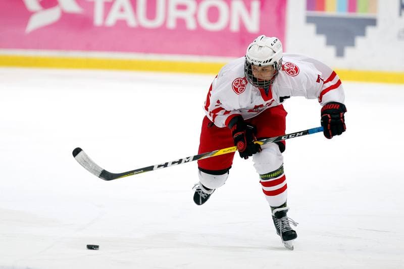 Ice Hockey. Women's National Team. Poland - Slovakia. 12.11.2017