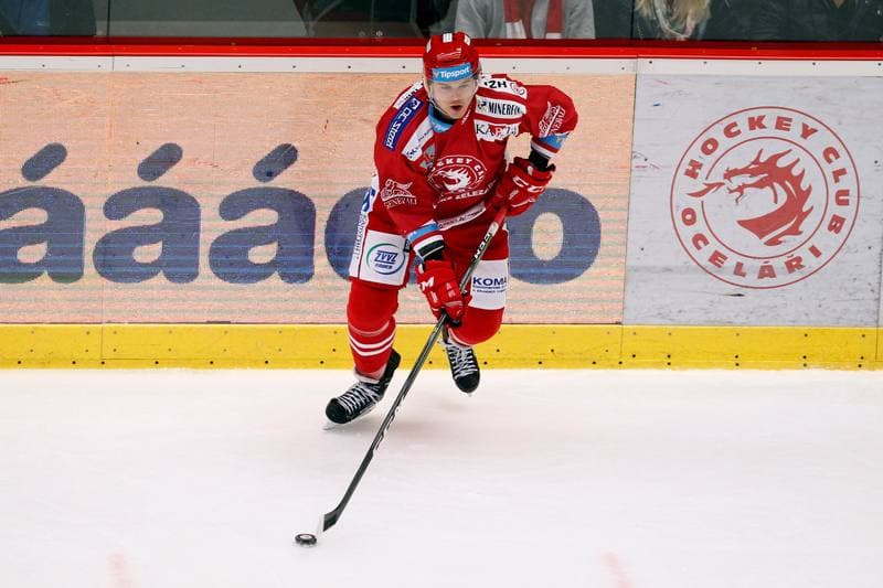 Ice Hockey. Tipsport Extraliga. Ocelari Trinec - Bili Tygri Liberec. 22.12.2017