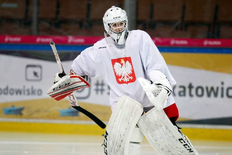 Ice Hockey. Poland national team. Training. 15.02.2018