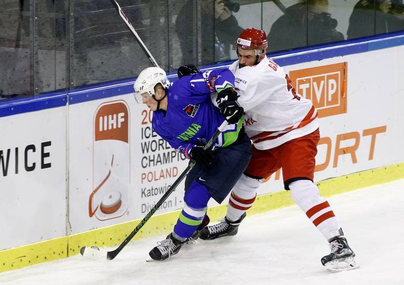 Ice Hockey. Euro Ice Hockey Challenge. Poland - Slovenia. 05.11.2015