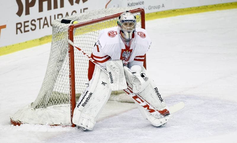 Ice Hockey. Euro Ice Hockey Challenge. Poland - Slovenia. 05.11.2015