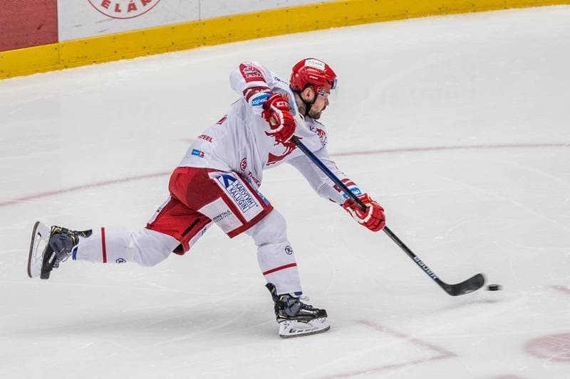 Ice Hockey. Tipsport Extraliga. Ocelari Trinec - Vitkovice Ridera. 21.11.2019