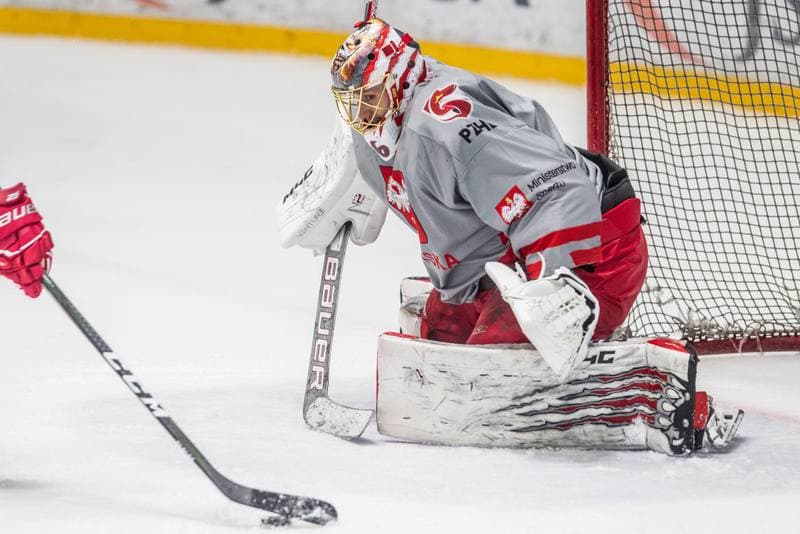 Ice Hockey. Poland national team. Training. 11.05.2021