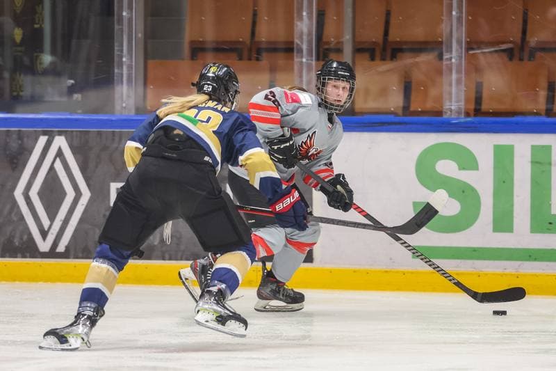 Ice Hockey. EWHL. TAURON Metropolia Silesia - KSV Neuberg Highlanders. 30.09.2023