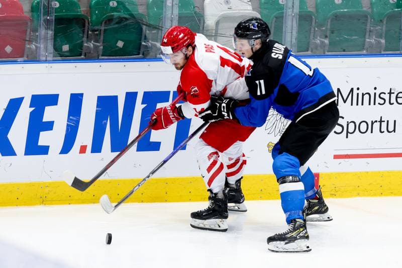Ice Hockey. Olympic Qualification. Poland - Estonia. 08.02.2024